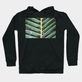 Tropical frond. Hoodie